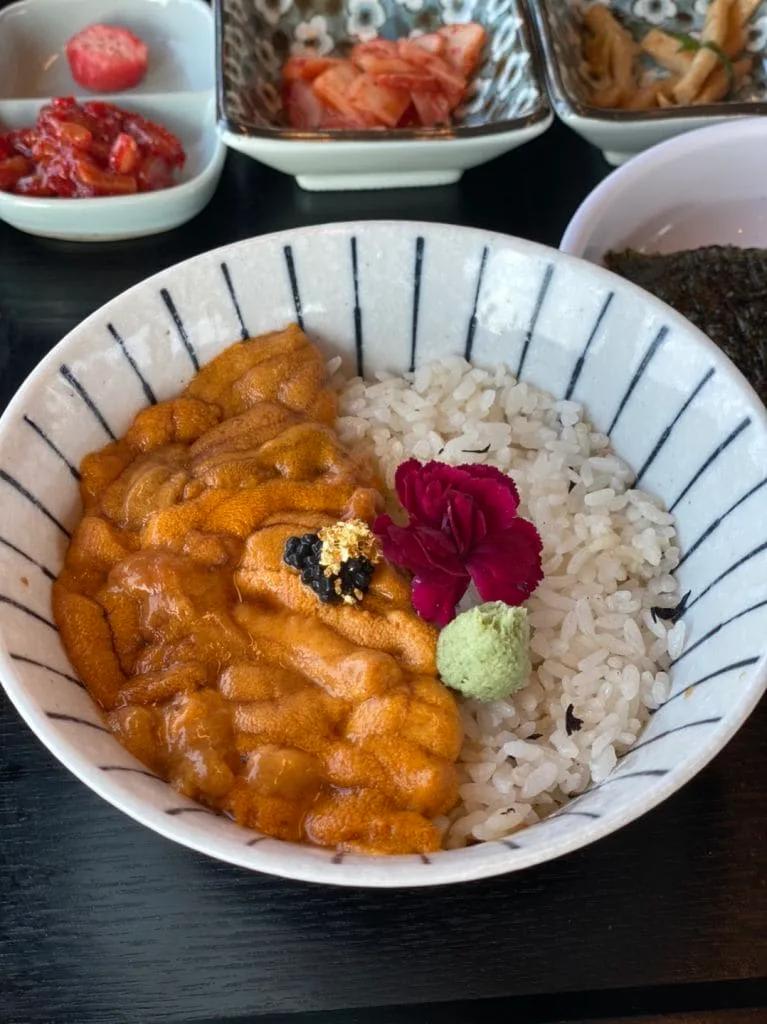 우니담