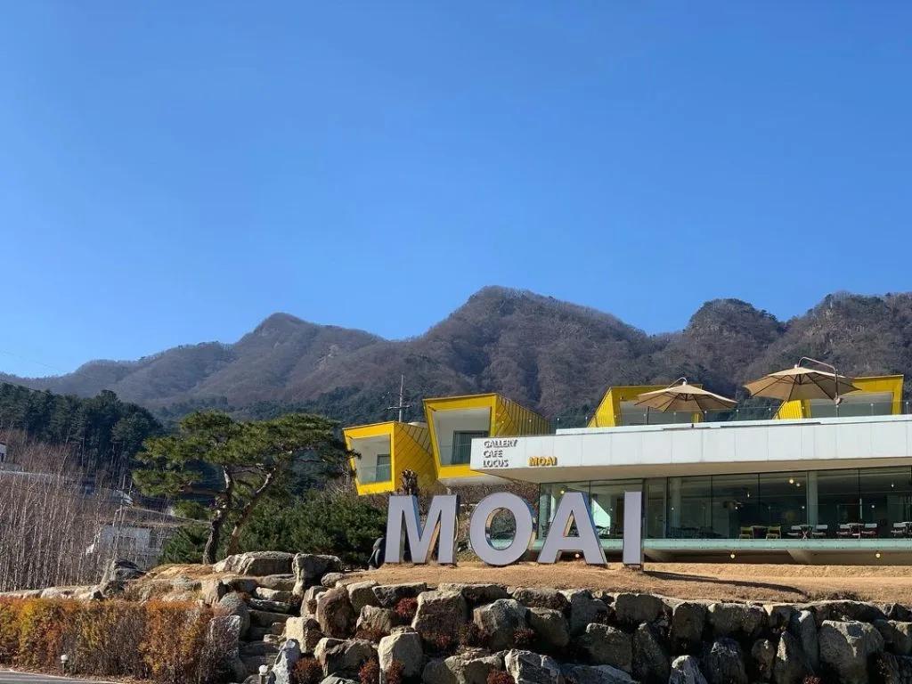 Moai Café