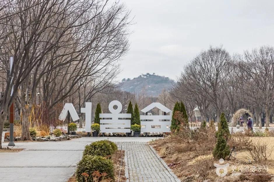 추가 이미지