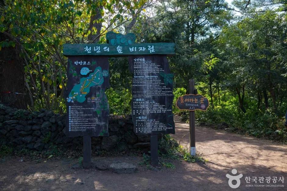 추가 이미지