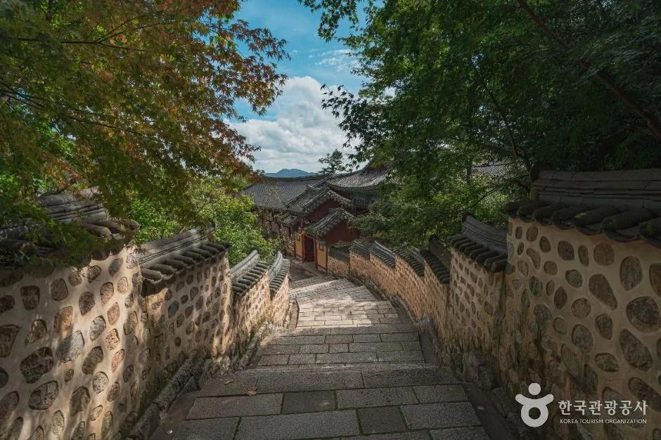 추가 이미지