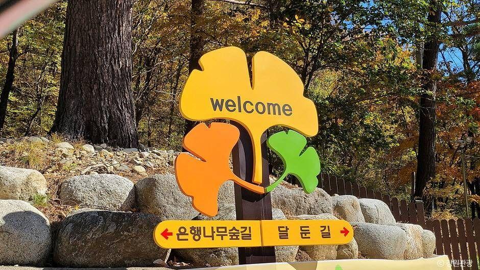 추가 이미지