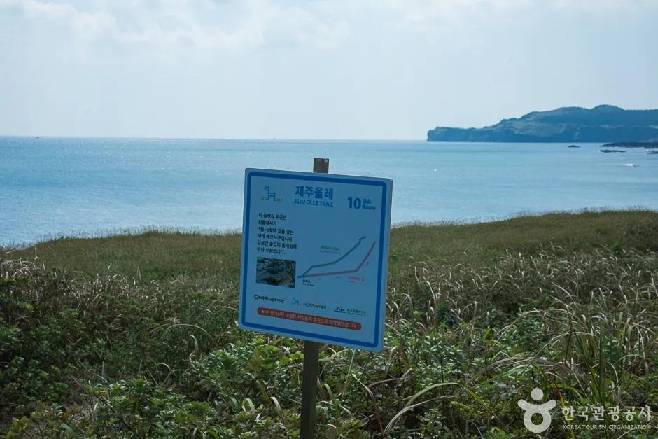 추가 이미지