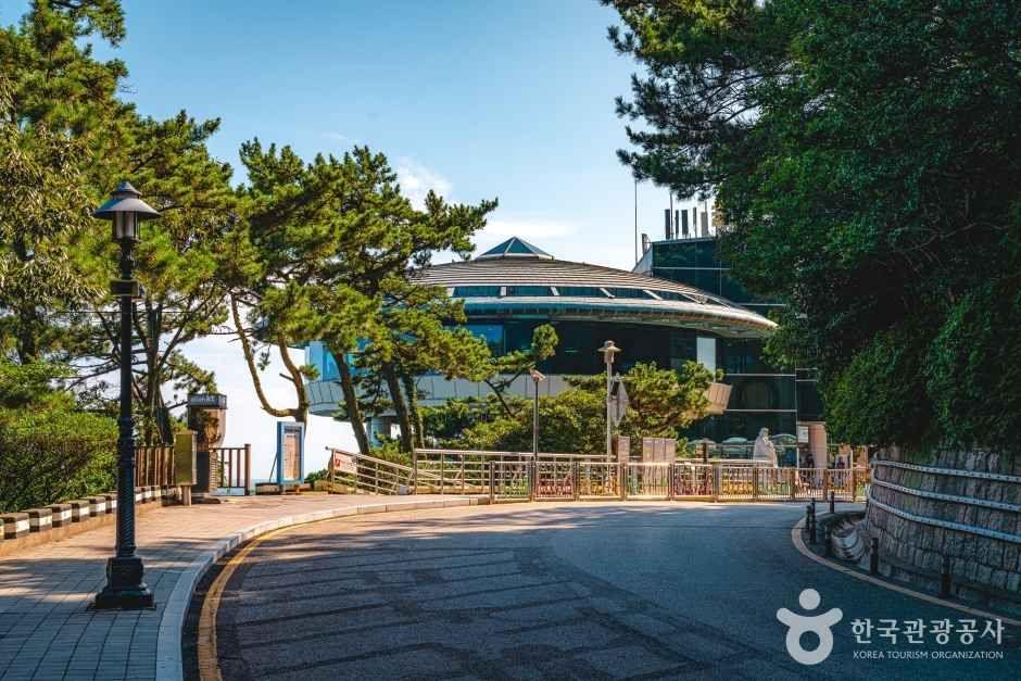 추가 이미지